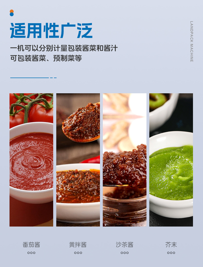 LDSP-160L+水平儲(chǔ)料斗+醬料+安敏-詳情頁(yè)_03.jpg